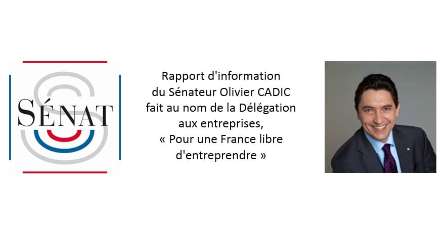 Rapport du Sénateur Olivier Cadic sur CiiB au nom de la Délégation aux entreprises du Sénat